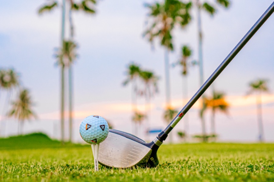 Driving Range detail image